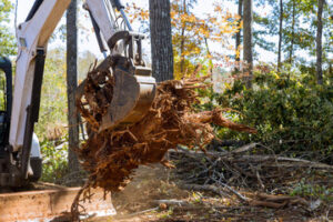 Forestry Mulching